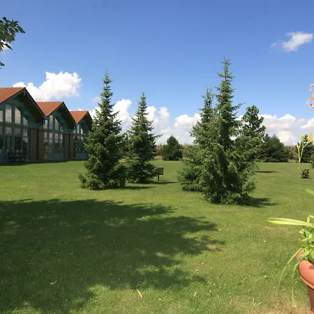 Hotel Western Parkhotel Brehna-halle 3*