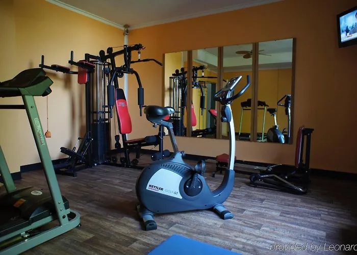 Western Parkhotel Brehna-halle 3*